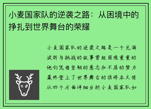 小麦国家队的逆袭之路：从困境中的挣扎到世界舞台的荣耀